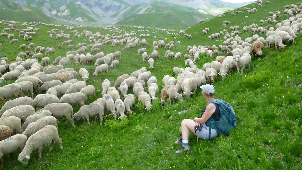 La Petite Etoile D'Hotes En Mercantour Saint-Dalmas-le-Selvage 외부 사진